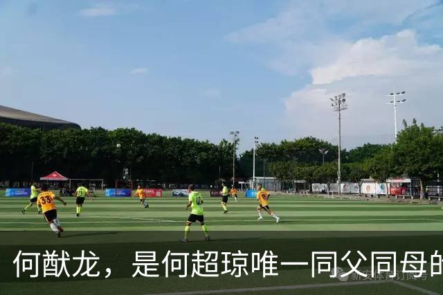 何猷龙，是何超琼唯一同父同母的亲弟弟